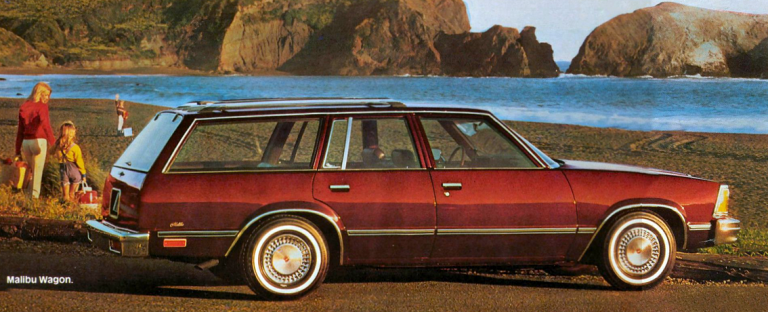 1981 Chevrolet Malibu Wagon